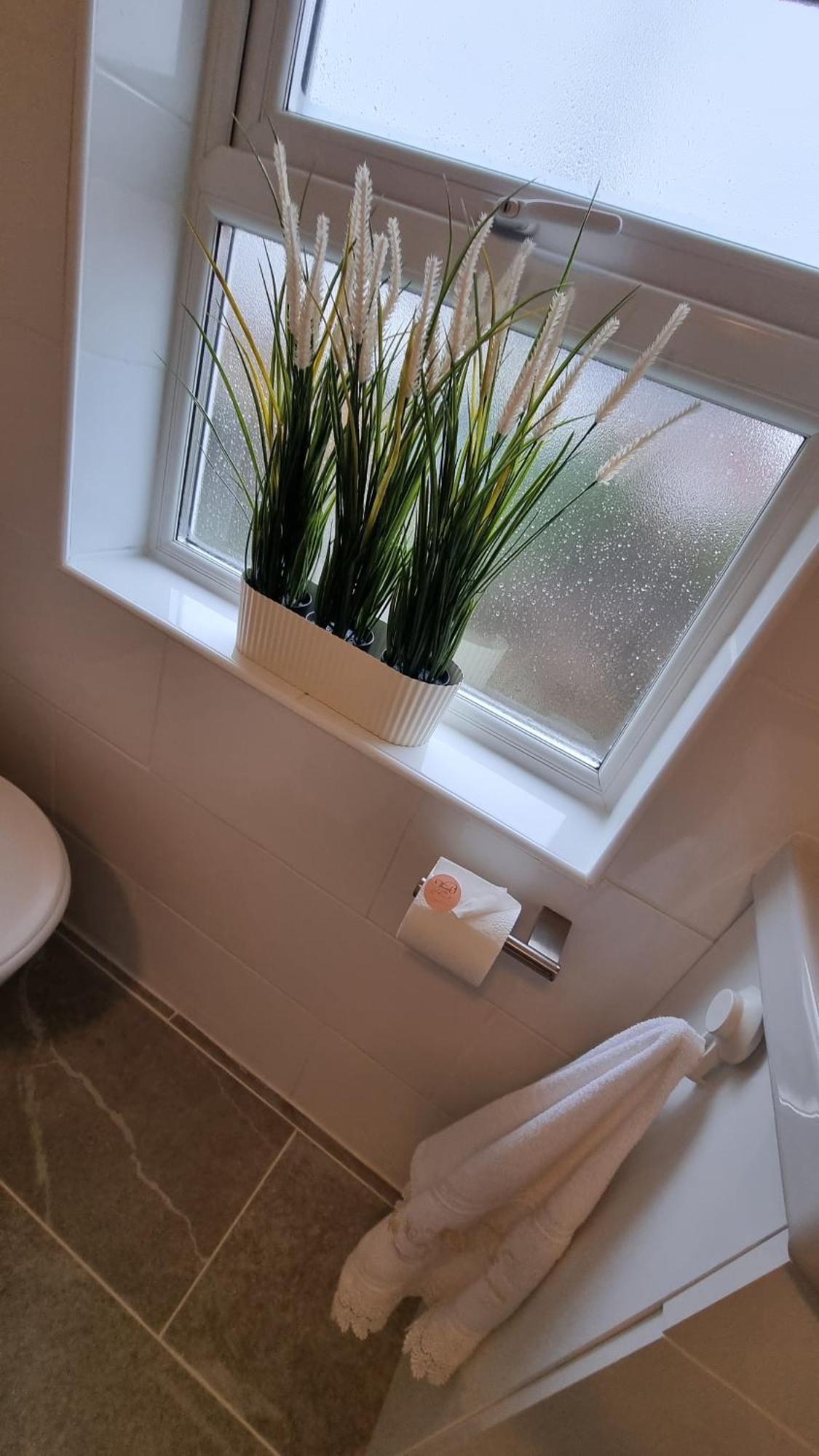 City Of Chester Award Winning Cottage -Pixie Terrace Честер Екстер'єр фото